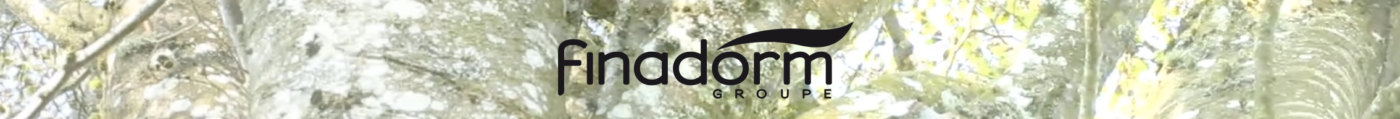 bandeau Groupe Finadorm