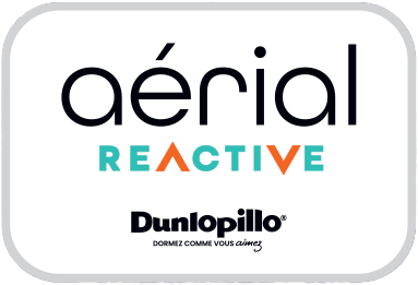 Logo Aérial Réactive